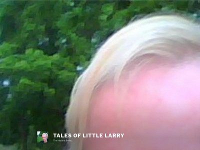 talesoflittlelarry.com snapshot