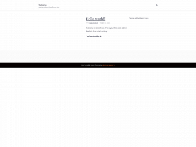 swagnsole.com snapshot