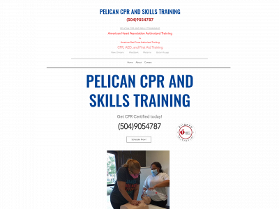 www.pelicancpr.com snapshot