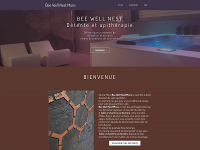 beewellnestmons.com snapshot