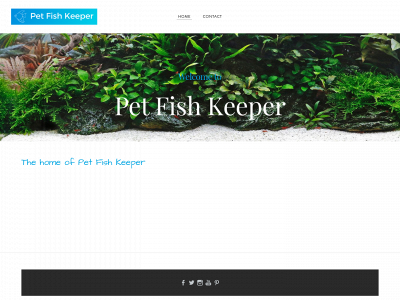 www.petfishkeeper.com snapshot