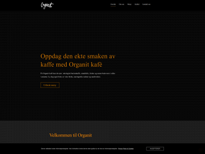 organit.no snapshot