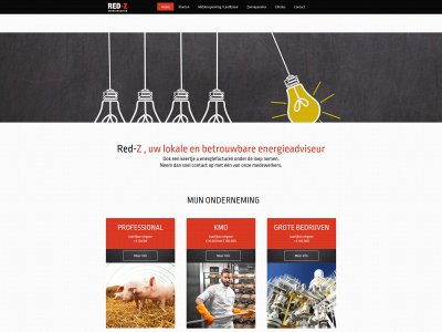 redz.be snapshot