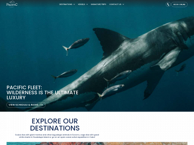 pacificfleet.com snapshot