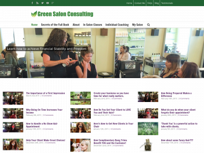 greensalonconsulting.com snapshot