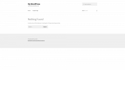 akimetinc.com snapshot
