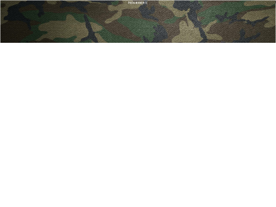 villedaimage.com snapshot