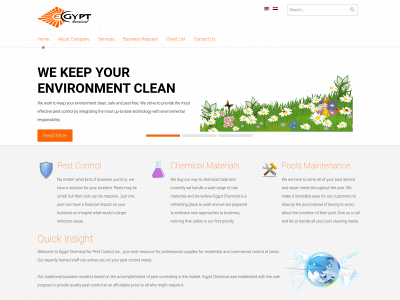 www.egyptchemical.com snapshot
