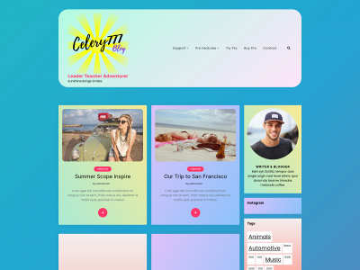 celery777.com snapshot