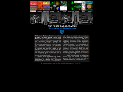 ferreira-lab.org snapshot