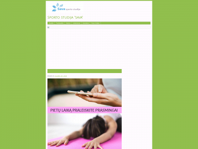 savastudija.lt snapshot