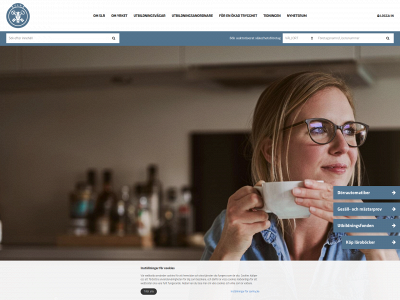 slr.se snapshot