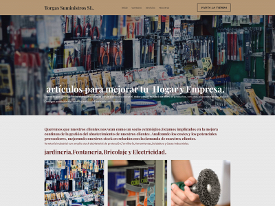 torgassuministros.com snapshot