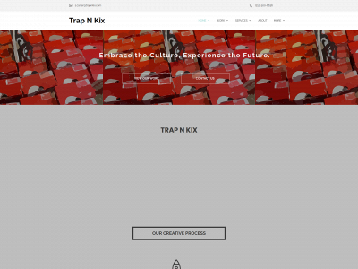 trapnkix.com snapshot