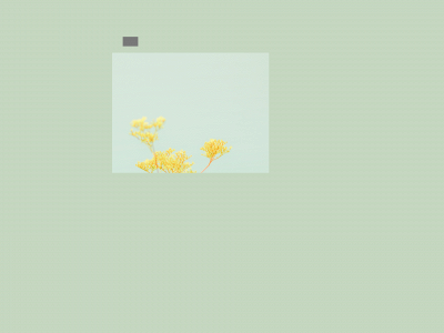 poppart.se snapshot