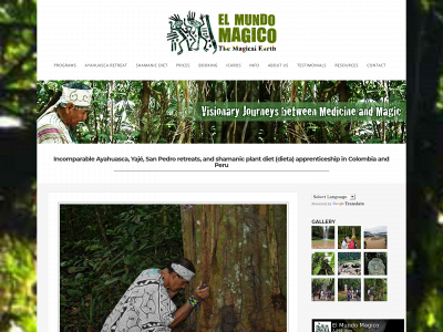elmundomagico.org snapshot