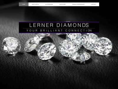lernerdiam.com snapshot