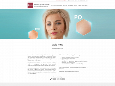 avizieniai.lt snapshot