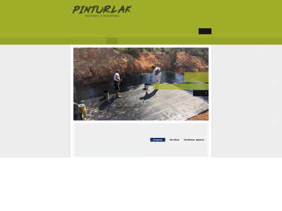 pinturlakservices2002.com snapshot