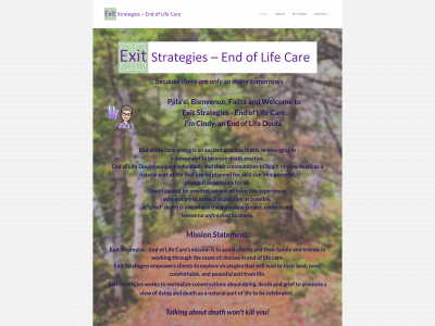 www.exitstrategies-endoflifecare.ca snapshot
