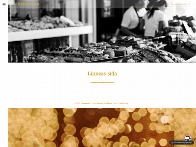 linnea-larsson.store snapshot
