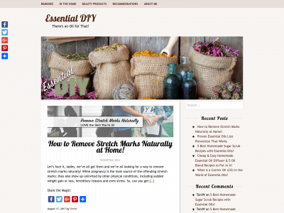 essentialdiy.net snapshot