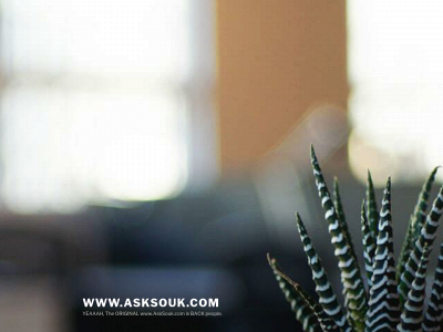 asksouk.com snapshot