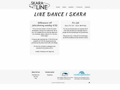 skaraonline.se snapshot