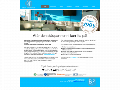 birgitstadpartner.se snapshot