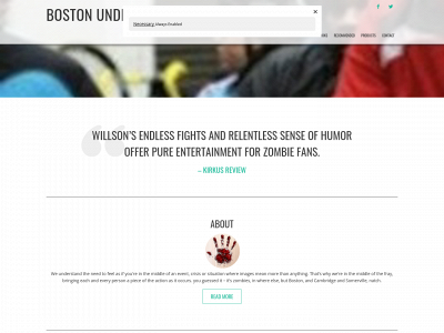 bostonzombie.com snapshot