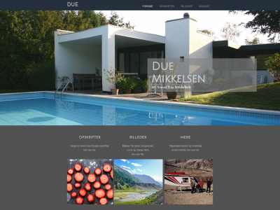 due-mikkelsen.dk snapshot