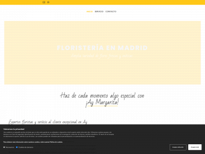 aymargarita.com snapshot