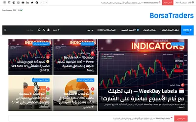 borsatraders.com snapshot