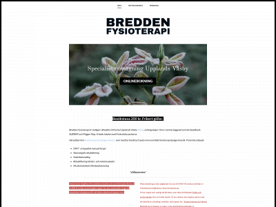 breddenfysioterapi.se snapshot