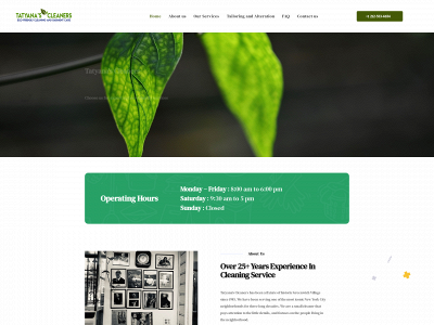 tatyanascleaners.com snapshot