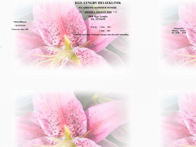 kgs-lyngby-thaimassage.dk snapshot