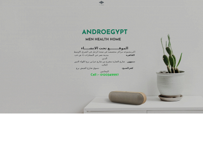 androegypt.com snapshot