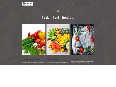 saaksprlbelgium.be snapshot