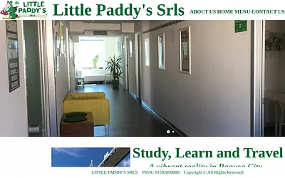 littlepaddys.com snapshot