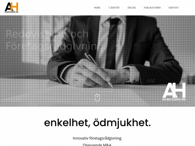 alihusein.com snapshot