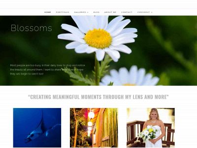 mylensandmore.com snapshot