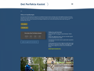 detperfektakastet.se snapshot