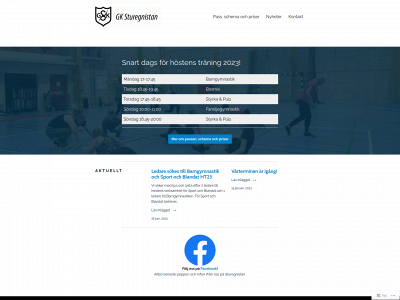 sturegnistan.se snapshot