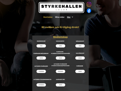 styrkehallen.se snapshot