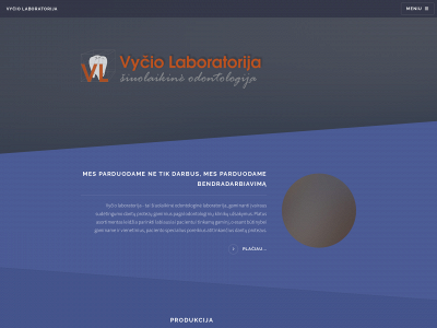 vyciolaboratorija.lt snapshot