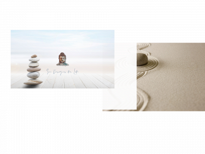 zendesigns.life snapshot