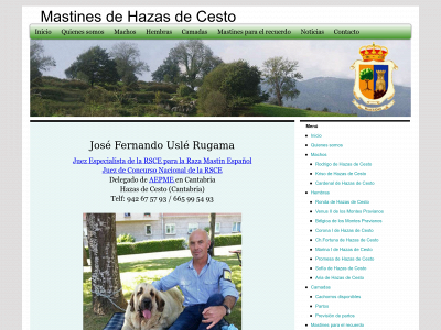 mastindehazasdecesto.com snapshot