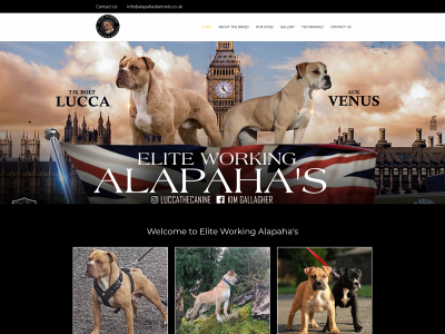 alapahaskennels.co.uk snapshot