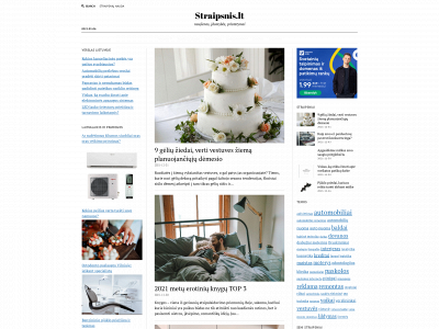 straipsnis.lt snapshot
