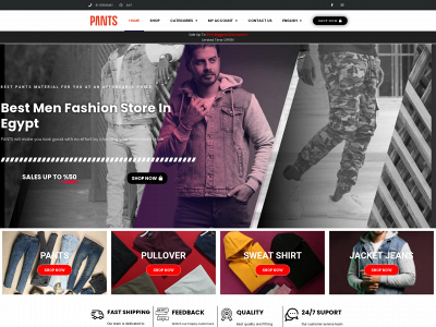 pantsstore.co snapshot